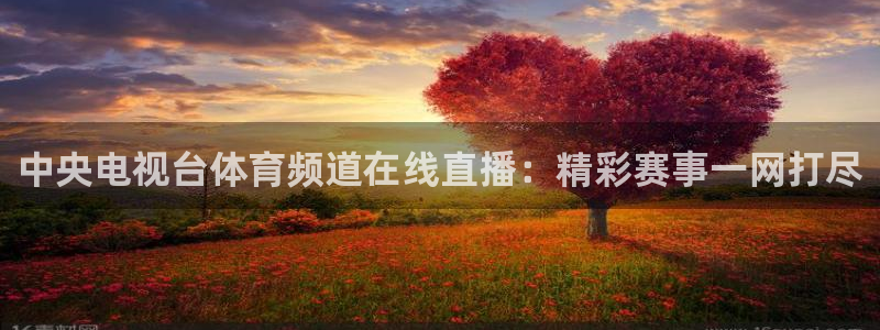 中央电视台体育频道在线直播：精彩赛事一网打尽