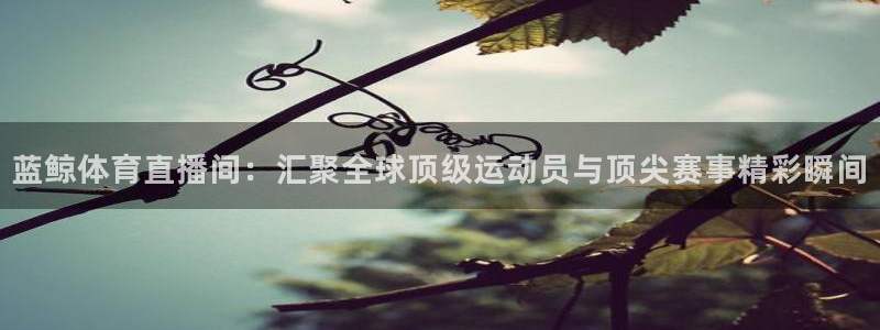 蓝鲸体育直播间：汇聚全球顶级运动员与顶尖赛事精彩瞬间